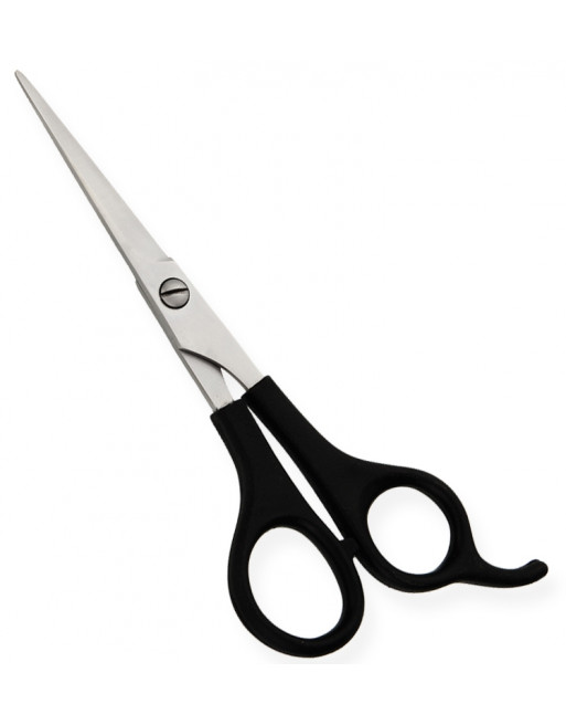 Plastic Handle Scissors