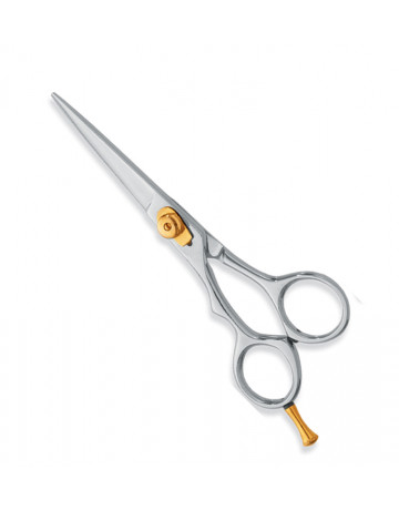 Professional hair Cutting Scissors