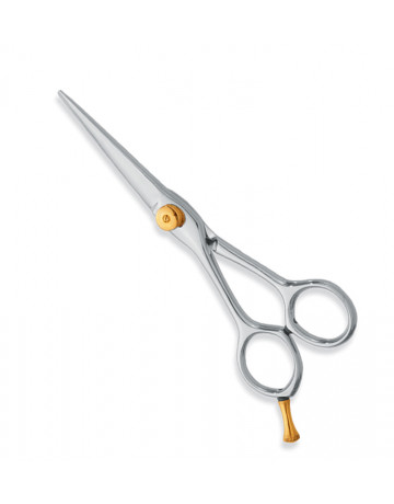 Professional hair Cutting Scissors