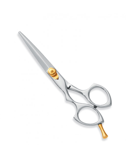 Professional hair Cutting Scissors