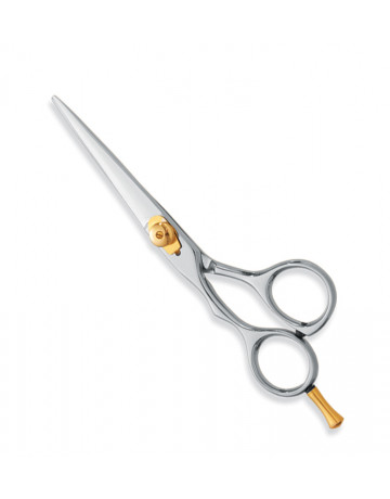 Professional hair Cutting Scissors