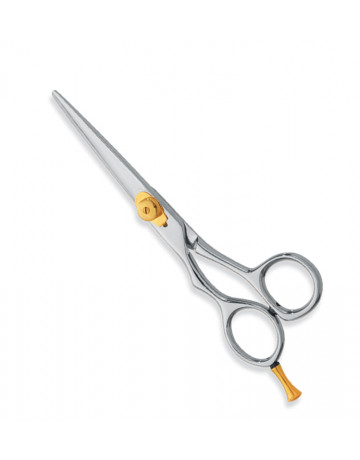 Professional hair Cutting Scissors