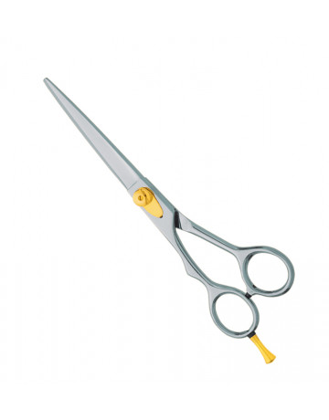 Professional hair Cutting Scissors