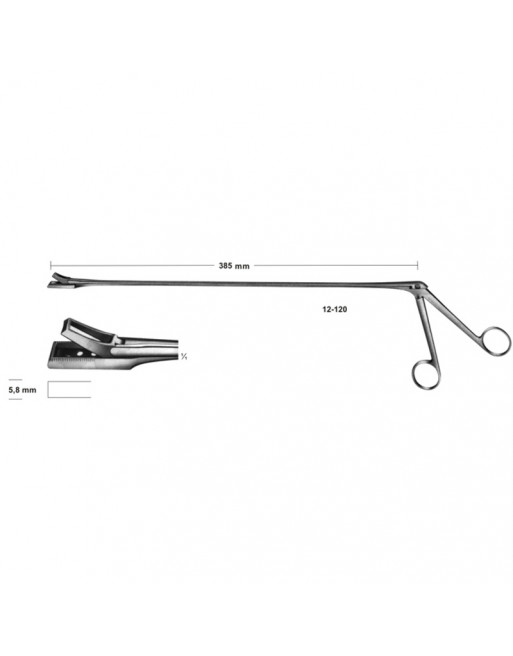 Biopsy forceps for rectum