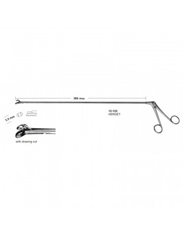 Biopsy forceps for rectum